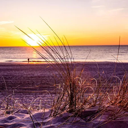 Kuscheliges Sylt Zuhause Fuer 2 Personen Lägenhet Westerland